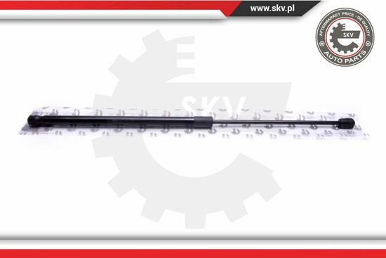 Εικόνα από ΑΜΟΡΤΙΣΕΡ ΚΑΠΩ ΕΜΠΡΟΣ SEAT LEON 99-05 / TOLEDO 99-05